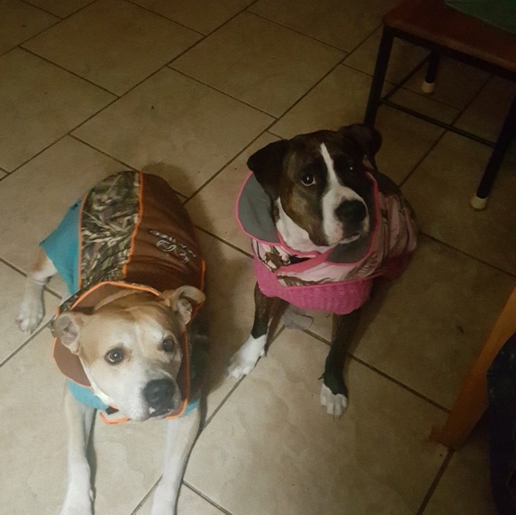 Meet your Posher, Danielle - Picture 1 of 1